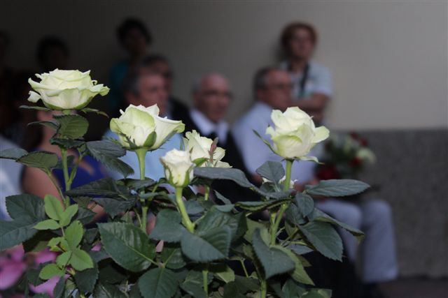 2016.évi kitüntető címek galéria 6